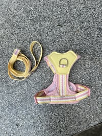 Image 2 of Willow Harness & Leash