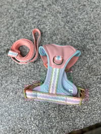 Image 3 of Willow Harness & Leash