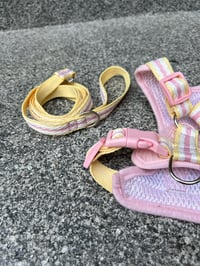 Image 5 of Willow Harness & Leash