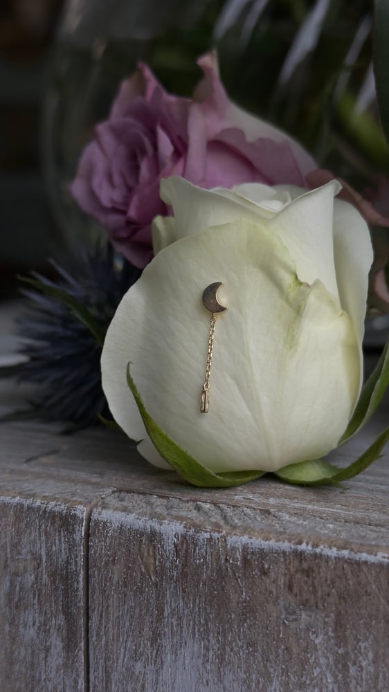 Image of Moon & chain 