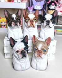 Boston Terrier Bust 