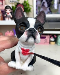 Boston Terrier Cartoon