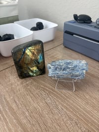 Jesseniaherand70 BASKET