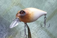 Image 1 of  Custom Airbrushed Crankbait 7529