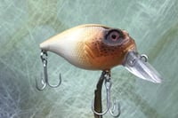 Image 2 of  Custom Airbrushed Crankbait 7529