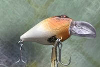 Image 4 of  Custom Airbrushed Crankbait 7529