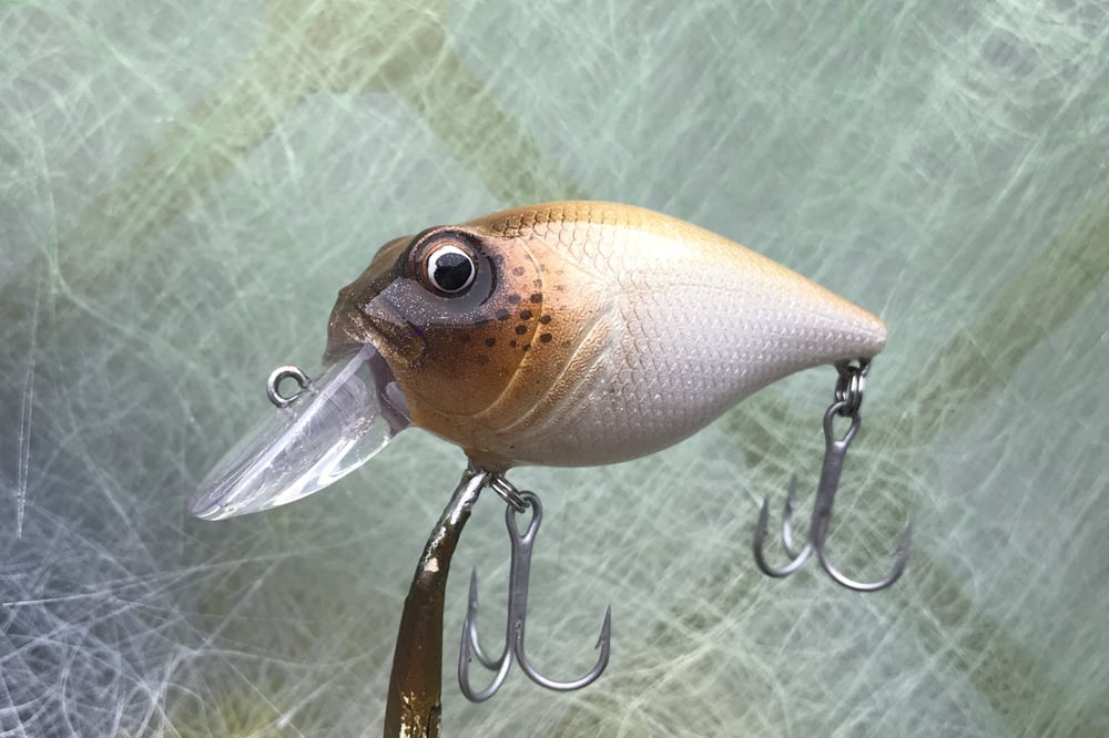 Custom Airbrushed Crankbait 7631