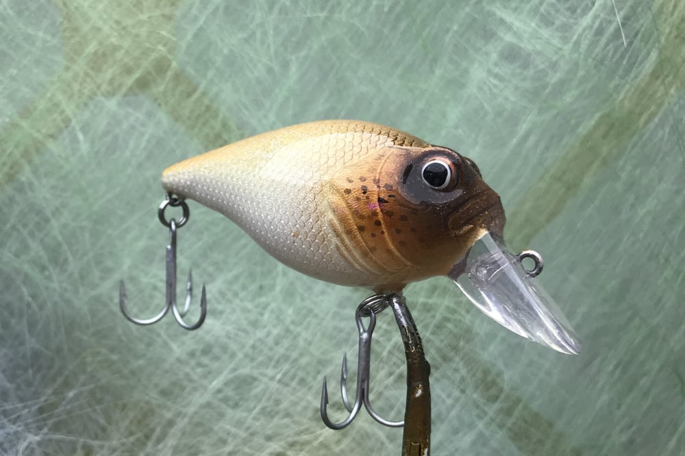 Custom Airbrushed Crankbait 7631 - Image 2