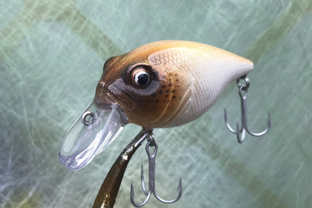 Custom Airbrushed Crankbait 7631 - Image 4