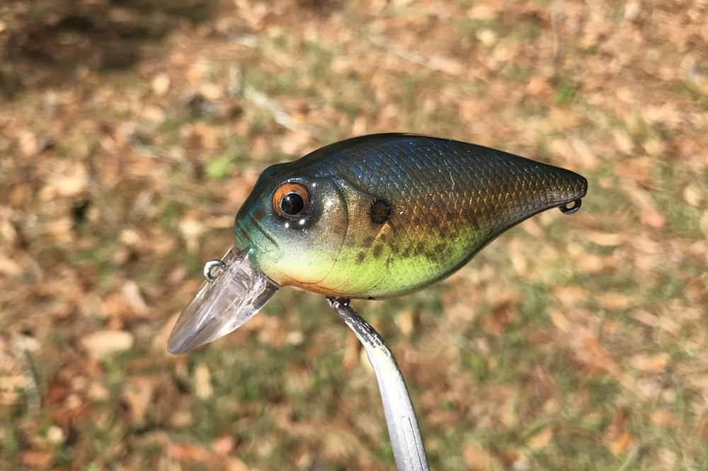  Custom Airbrushed Crankbait 7967
