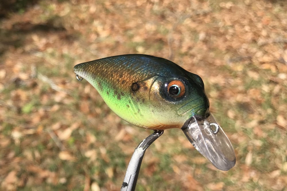 Custom Airbrushed Crankbait 7967 - Image 3