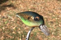 Image 3 of  Custom Airbrushed Crankbait 7967