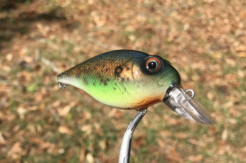  Custom Airbrushed Crankbait 7967 - Image 2