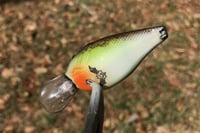 Image 4 of  Custom Airbrushed Crankbait 7967