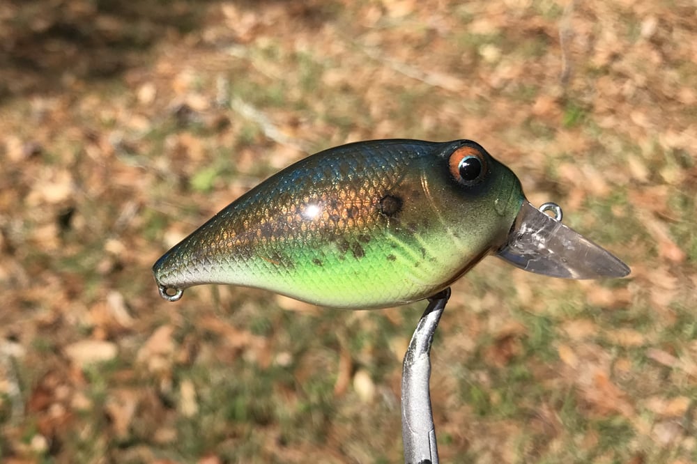 Custom Airbrushed Crankbait 7967 - Image 5