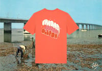 Image 2 of OLERON 