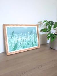 Image 4 of Misty Bloom