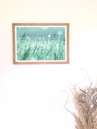 Image 2 of Misty Bloom