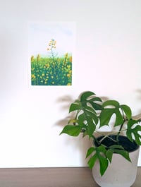Image 3 of Golden Bloom