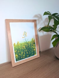 Image 4 of Golden Bloom
