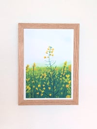 Image 2 of Golden Bloom