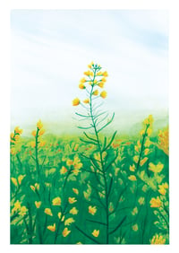 Image 1 of Golden Bloom
