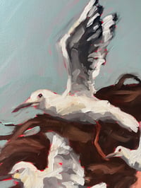 Image 3 of Swoop