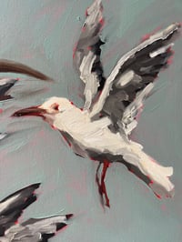 Image 4 of Swoop