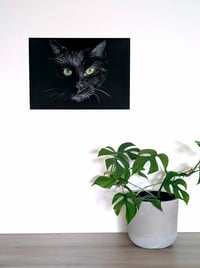 Image 2 of Black cat