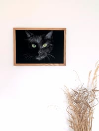Image 3 of Black cat