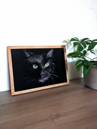 Image 4 of Black cat