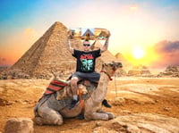 Image 4 of TPR 4 Life Pyramids Deck 