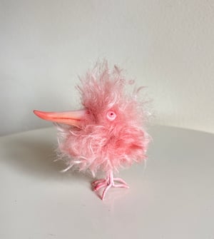 Image of Coral the Scrappy Bird