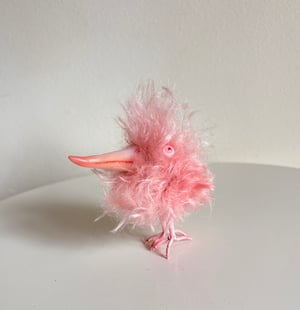 Image of Coral the Scrappy Bird