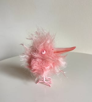 Image of Coral the Scrappy Bird