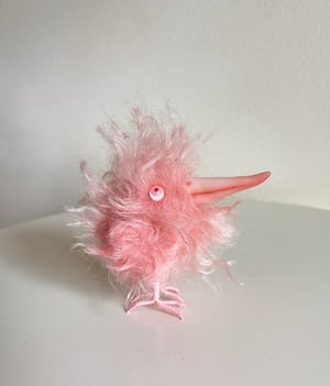 Image of Coral the Scrappy Bird