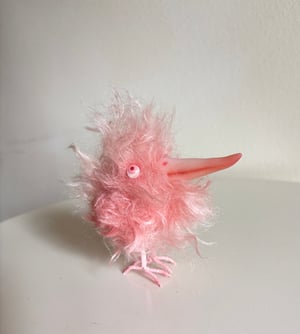 Image of Coral the Scrappy Bird