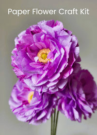 Image 1 of Paper Flower Craft Kit - Open Ranunculus