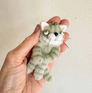 Image of Floppy Cheshire Cat in Frankenstein Green