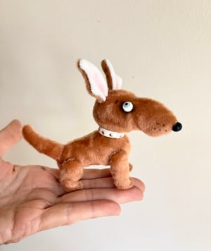 Image of Toffee the Mutt Puppy