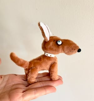Image of Toffee the Mutt Puppy