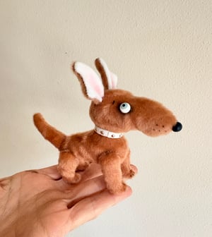 Image of Toffee the Mutt Puppy