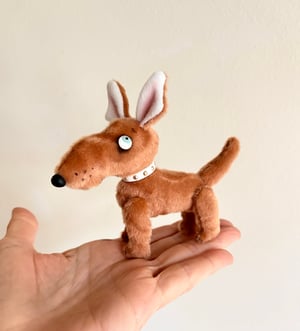 Image of Toffee the Mutt Puppy
