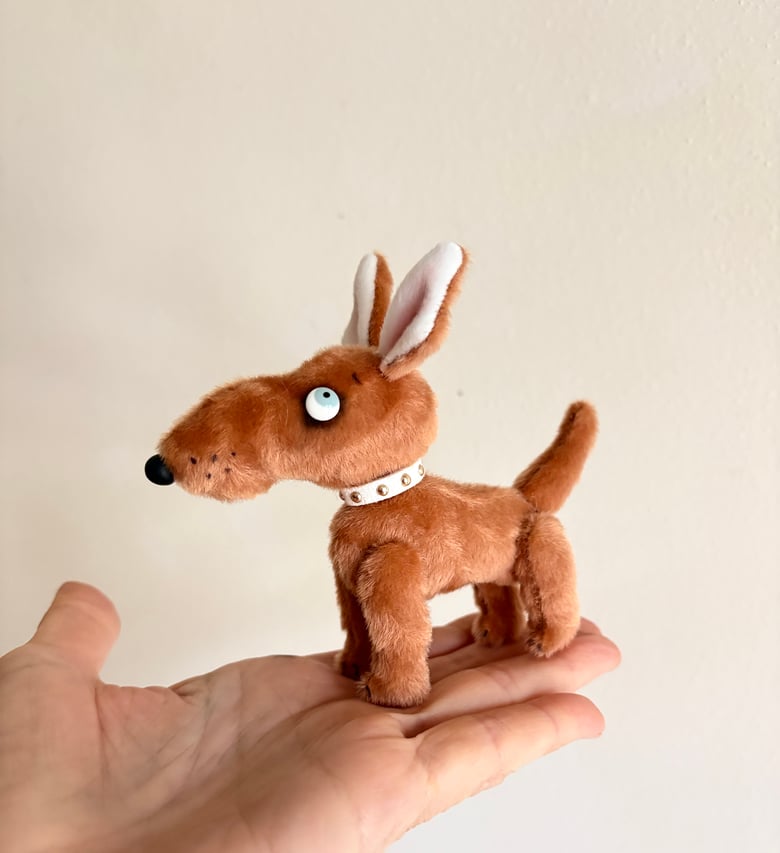 Image of Toffee the Mutt Puppy