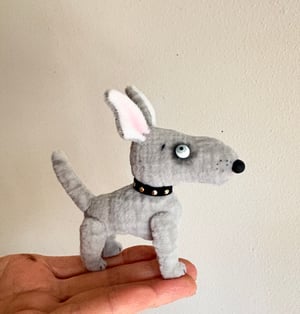 Image of Waffles the Bull Terrier