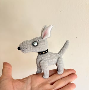 Image of Waffles the Bull Terrier