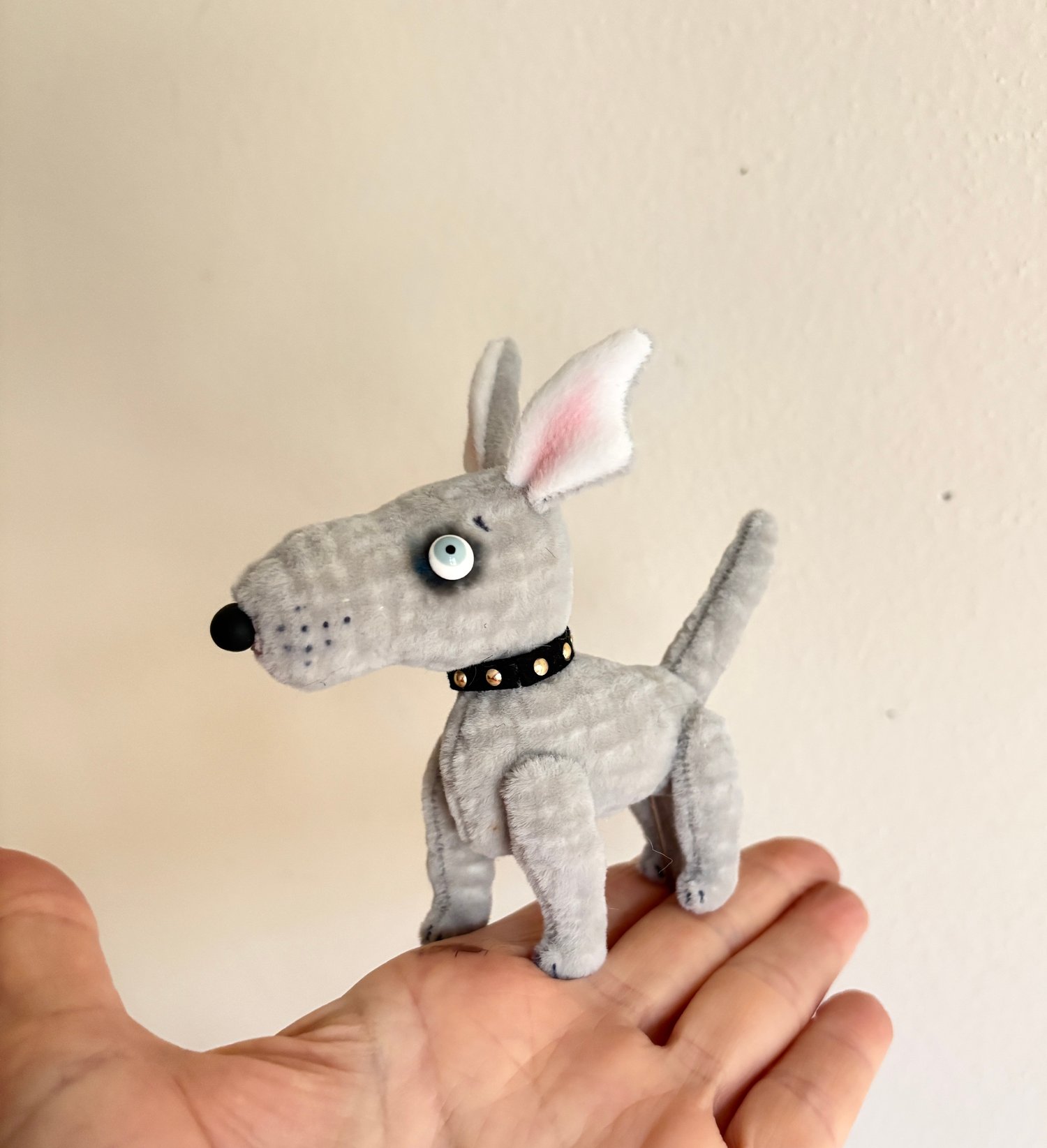 Image of Waffles the Bull Terrier