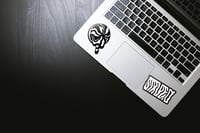 Image 2 of Zebra Pride