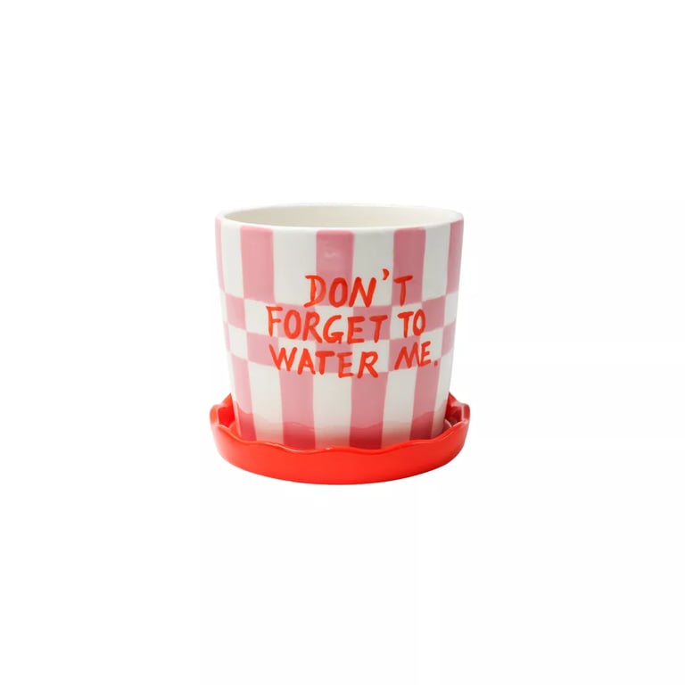 POT ET SA COUPELLE LIOR - DON'T FORGET - QUÉ RICO