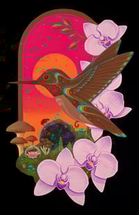 Image 4 of Hummingbird and Orchid